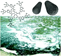 Graphical abstract: Interaction of tannic acid with carbon nanotubes: enhancement of dispersibility and biocompatibility