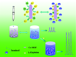 Graphical abstract: A metal (Co)–organic framework-based chemiluminescence system for selective detection of l-cysteine
