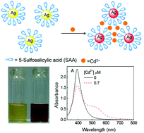 Graphical abstract: Ultrasensitive colorimetric assay of cadmium ion based on silver nanoparticles functionalized with 5-sulfosalicylic acid for wide practical applications