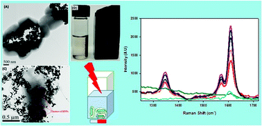 Graphical abstract: Magnetic-optical nanohybrids for targeted detection, separation, and photothermal ablation of drug-resistant pathogens