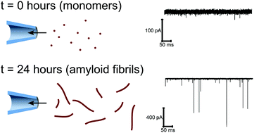 Graphical abstract: Nanopore analysis of amyloid fibrils formed by lysozyme aggregation