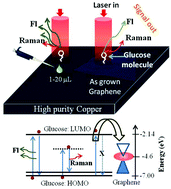 Graphical abstract: Non-enzymatic glucose sensing by enhanced Raman spectroscopy on flexible ‘as-grown’ CVD graphene