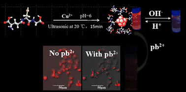 Graphical abstract: Facile sonochemical synthesis of pH-responsive copper nanoclusters for selective and sensitive detection of Pb2+ in living cells