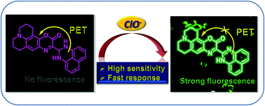 Graphical abstract: Light up ClO− in live cells using an aza-coumarin based fluorescent probe with fast response and high sensitivity