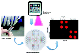 Graphical abstract: Biomarker detection for disease diagnosis using cost-effective microfluidic platforms