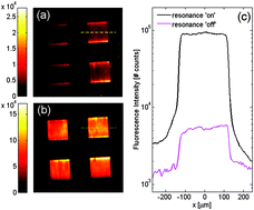 Graphical abstract: Enhanced fluorescence detection of miRNA-16 on a photonic crystal