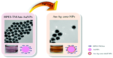 Graphical abstract: An unusual red-to-brown colorimetric sensing method for ultrasensitive silver(i) ion detection based on a non-aggregation of hyperbranched polyethylenimine derivative stabilized gold nanoparticles