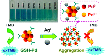 Graphical abstract: Glutathione-stabilized palladium nanozyme for colorimetric assay of silver(i) ions