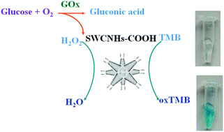 Graphical abstract: Carboxylic-group-functionalized single-walled carbon nanohorns as peroxidase mimetics and their application to glucose detection