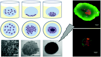 Graphical abstract: Emulsion technologies for multicellular tumour spheroid radiation assays