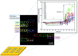 Graphical abstract: Grating coupled SPR microarray analysis of proteins and cells in blood from mice with breast cancer