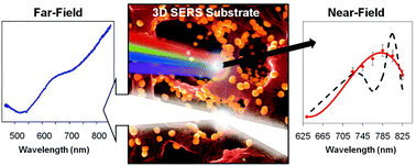 Graphical abstract: Unraveling near-field and far-field relationships for 3D SERS substrates – a combined experimental and theoretical analysis