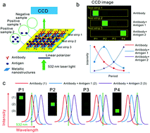 Graphical abstract: Visualization of biosensors using enhanced surface plasmon resonances in capped silver nanostructures