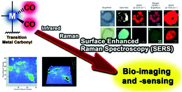 Graphical abstract: Vibrational spectroscopy of metal carbonyls for bio-imaging and -sensing