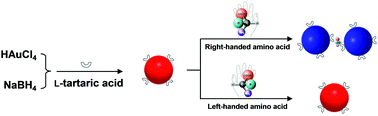 Graphical abstract: A universal strategy for visual chiral recognition of α-amino acids with l-tartaric acid-capped gold nanoparticles as colorimetric probes