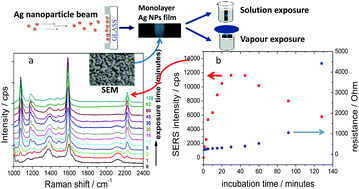 Graphical abstract: A SERS and electrical sensor from gas-phase generated Ag nanoparticles self-assembled on planar substrates