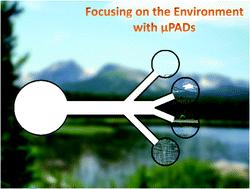 Graphical abstract: Paper-based analytical devices for environmental analysis
