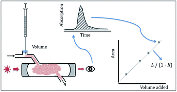 Graphical abstract: Using integrated absorption to calibrate optical cavity spectrometers