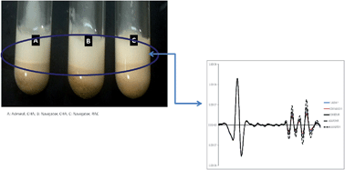 Graphical abstract: Study of the role of sugar fatty esters in explaining differences in the malt composition of barley analysed using vibrational spectroscopy and chemometrics