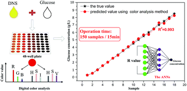 Graphical abstract: A novel digital color analysis method for rapid glucose detection