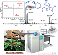 Graphical abstract: Rapid fingerprinting of Rauwolfia species using direct analysis in real time mass spectrometry combined with principal component analysis for their discrimination