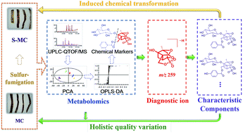 Graphical abstract: UPLC-QTOF-MS based metabolomics coupled with the diagnostic ion exploration strategy for rapidly evaluating sulfur-fumigation caused holistic quality variation in medicinal herbs, Moutan Cortex as an example