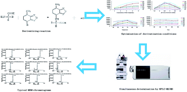 Graphical abstract: Simultaneous quantitation of nine kinds of (d)- and (l)-amino acid enantiomers by HPLC-MS/MS: application to the quality control of amino acid tablets