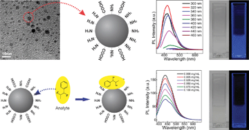Graphical abstract: Amine-rich carbon nanodots as a fluorescence probe for methamphetamine precursors