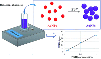 Graphical abstract: A low-cost microcontrolled photometer with one color recognition sensor for selective detection of Pb2+ using gold nanoparticles
