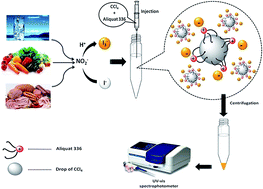 Graphical abstract: Ion pair-based dispersive liquid–liquid microextraction combined with UV-Vis spectrophotometry as a circuitous assay for nitrite