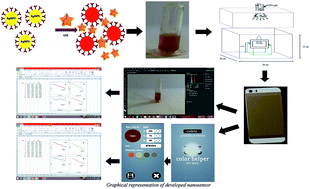 Graphical abstract: Lab-on-phone citrate-capped silver nanosensor for lidocaine hydrochloride detection from a biological matrix