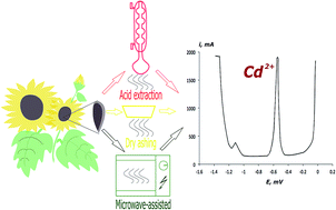 Graphical abstract: Sample preparation for cadmium quantification in sunflower (Heliánthus ánnuus) seeds using anodic stripping voltammetry