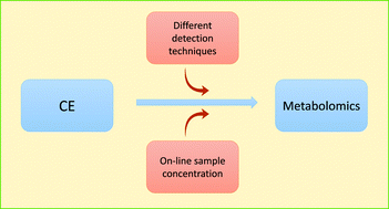 Graphical abstract: Different detection and stacking techniques in capillary electrophoresis for metabolomics