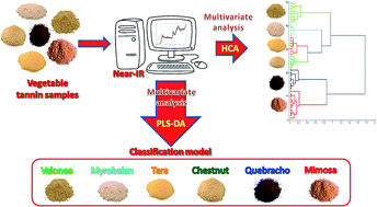Graphical abstract: A rapid and non-invasive method for the classification of natural tannin extracts by near-infrared spectroscopy and PLS-DA