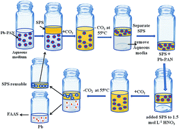 Graphical abstract: Switchable dispersive liquid–liquid microextraction for lead enrichment: a green alternative to classical extraction techniques