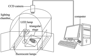 Graphical abstract: A data fusion detection method for fish freshness based on computer vision and near-infrared spectroscopy