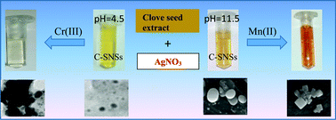 Graphical abstract: pH-controlled sensitive and selective detection of Cr(iii) and Mn(ii) by using clove (S. aromaticum) reduced and stabilized silver nanospheres
