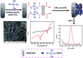 Graphical abstract: An electrochemical paracetamol sensor based on layer-by-layer covalent attachment of MWCNTs and a G4.0 PAMAM modified GCE