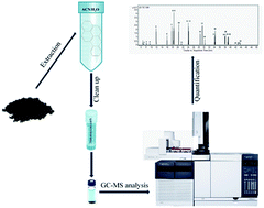 Graphical abstract: Optimization of the QuEChERS extraction procedure for the determination of polycyclic aromatic hydrocarbons in soil by gas chromatography-mass spectrometry