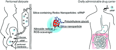 Graphical abstract: Development of silica-containing redox nanoparticles for medical applications