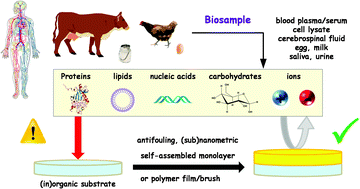 Graphical abstract: A survey of state-of-the-art surface chemistries to minimize fouling from human and animal biofluids