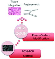 Graphical abstract: Enhancing tissue integration and angiogenesis of a novel nanocomposite polymer using plasma surface polymerisation, an in vitro and in vivo study