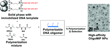 Graphical abstract: Improvement of DNA recognition through molecular imprinting: hybrid oligomer imprinted polymeric nanoparticles (oligoMIP NPs)
