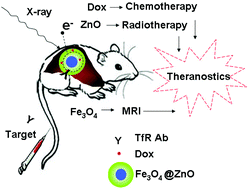 Graphical abstract: Theranostics for hepatocellular carcinoma with Fe3O4@ZnO nanocomposites