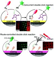 Graphical abstract: Multifaceted and route-controlled “click” reactions based on vapor-deposited coatings