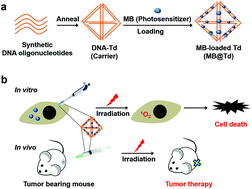 Graphical abstract: Nano-formulation of a photosensitizer using a DNA tetrahedron and its potential for in vivo photodynamic therapy