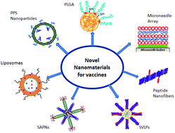 Graphical abstract: Design of nanomaterial based systems for novel vaccine development