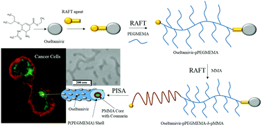 Graphical abstract: Oseltamivir-conjugated polymeric micelles prepared by RAFT living radical polymerization as a new active tumor targeting drug delivery platform