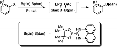 Graphical abstract: Direct introduction of a naphthalene-1,8-diamino boryl [B(dan)] group by a Pd-catalysed selective boryl transfer reaction