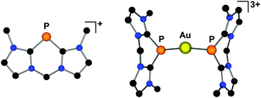 Graphical abstract: Remarkably stable chelating bis-N-heterocyclic carbene adducts of phosphorus(i) cations